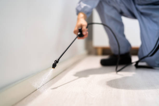 Licensed Mosquito Control service in Bartonville, TX - Show Me Pest Control