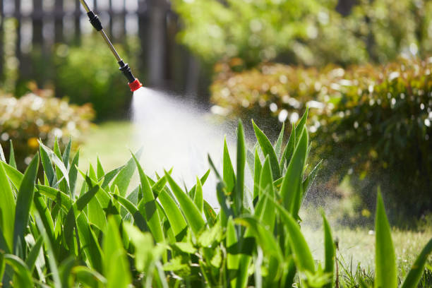 24/7 Emergency Mosquito Control experts in Bartonville, TX
