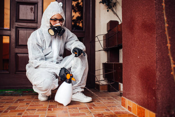 Reliable Mosquito Control contractor in Bartonville, TX by Show Me Pest Control